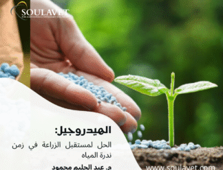 Soulavet - FP - 0006 Soulavet - FP - 0006