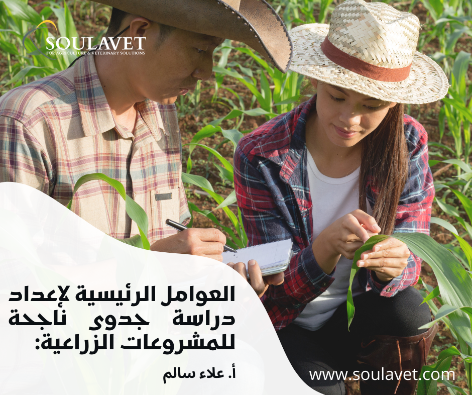 العوامل الرئيسية لإعداد دراسة جدوى ناجحة للمشروعات الزراعية