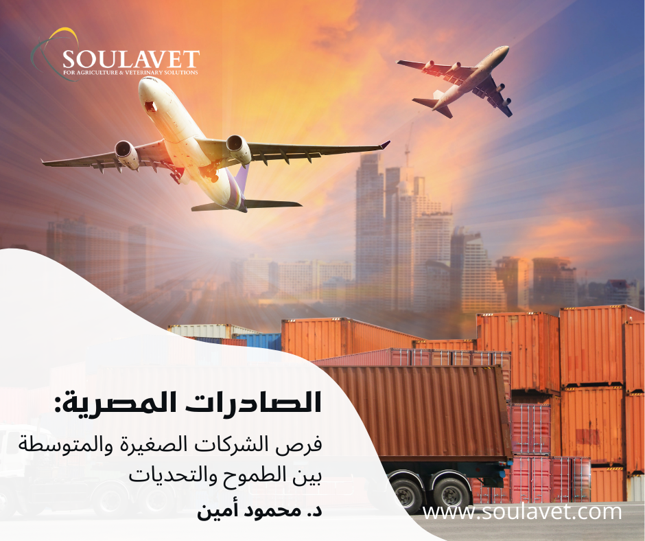 Egyptian Exports: Opportunities for SMEs Between Ambition and Challenges